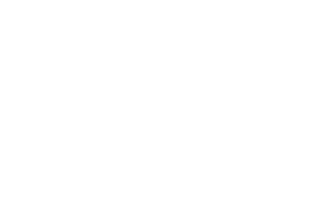 karnaval yazılım